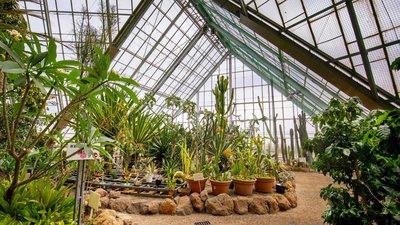 🐒 하코다테시 열대식물원